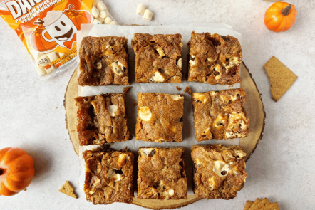 Vegan Pumpkin S’mores Bars