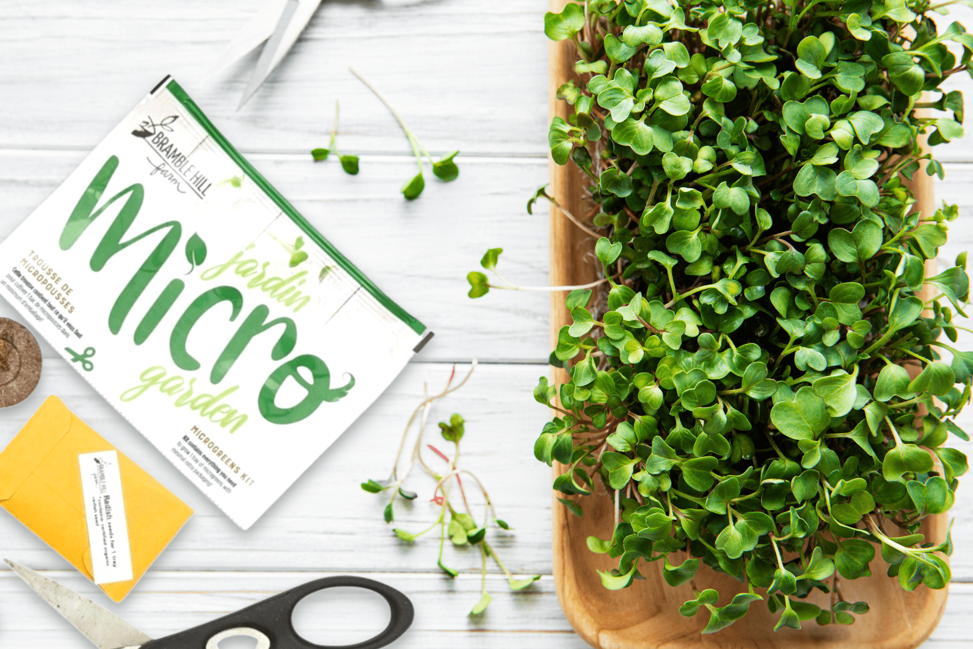 What Are Microgreens And Their Benefits?