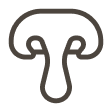 Mushrooms & Adaptogens