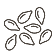 Seeds