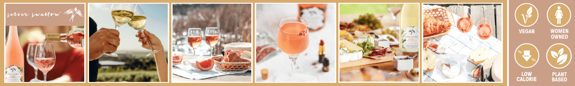 Silver Swallow Silver Swallow