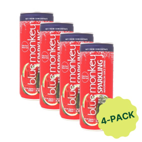 Blue Monkey No Sugar Added Sparkling Juice Watermelon 4-Pack Canada Front