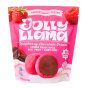 Jolly Llama Real Fruit Dairy-Free Snack Bites Raspberry Chocolate Cream Front