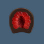 Baris Dipped Raspberries Extra Dark Chocolate Lifestyle