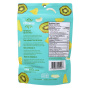 Back of Chiwis Dried Fruit Snack - Fruit Chips - Dried Kiwi - Dehydrated Kiwi Chips - Dried Pineapple - Coconut Chips
