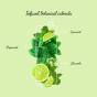 Clever Mocktails Non-Alcoholic Mojito Drink Virgin Mojito