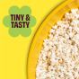 Cob Foods Corn-Free Popcorn Popped Sorghum Mediterranean Herb Lifestyle 2