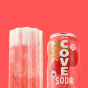 Cove Soda Cove Drinks Gut Healthy Probiotic Soda Cherry - Prebiotic Soda Canada - Cove Soda Canada - Healthy Soda