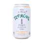 De La Calle! Tepache Modern Mexican Soda Pineapple Spice Canada Front