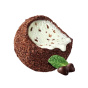 Doughlicious Cookie Dough & Non-Dairy Gelato Bites Mint Chocolate Chip - Non-Dairy Cookie Dough Bites - Gelato Cookie Dough Bites