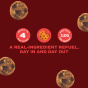 Day Out Gluten-Free Protein Balls Cookie Dough Lifestyle 2