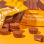 Free2b Sun Cups Chocolate Sunflower Butter Cups Mini - Dairy Free Chocolate - Nut Free Chocolate - Peanut Free Chocolate