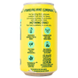 Fresh Fizz Organic Soda Sparkling Mint Lemonade Side