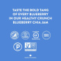 Healthy Crunch Paleo Chia Jam Blueberry - Keto Spreads - Vegan Spreads - Gluten-Free Spreads