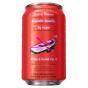 Side of Halfday Prebiotic Iced Tea Raspberry - Prebiotic Iced Tea - Low Sugar Iced Tea - Healthy Iced Tea