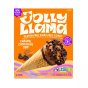Front of Jolly Llama Dairy-Free Cone Caramel Chocolate Chip - Non-Dairy Ice Cream - Vegan Ice Cream Cone - Gluten Free Waffle Cone