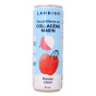 Landish Marine Collagen Sparkling Water Apple Lychee Canada French Side