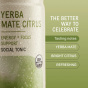 NA Beverage Co. Sparkling Tea Yerba Mate Citrus Lifestyle 1
