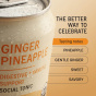 NA Beverage Co. Sparkling Tea Ginger Pineapple Lifestyle 1