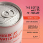 NA Beverage Co. Sparkling Tea Hibiscus Watermelon Lifestyle 2