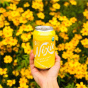 Nixie Sparkling Water Lemon Canada Lifestyle 3