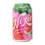 Nixie Water Sparkling Watermelon Mint Canada Front