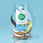 Lifestyle 2 of Nutpods Unsweetened & Dairy-Free Almond + Coconut Creamer French Vanilla - Vegan Coffee Creamer - Coconut Coffee Creamer - Non Dairy Coffee Creamer
