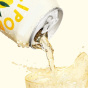 OLIPOP Low Sugar Sparkling Prebiotic Sparkling Tonic Ginger Lemon