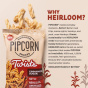 Pipcorn Twists - Heirloom Corn Snacks - Cinnamon Sugar Chips
