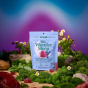 Plant People Zero Sugar Vegan Mushroom Gummies WonderSleep Canada Lifestyle 1
