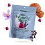 Plant People Zero Sugar Vegan Mushroom Gummies WonderSleep Canada Lifestyle 4
