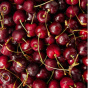 PROMIX Collagen Beauty Elixir Dark Forest Cherry, 30 Packets Lifestyle 3