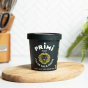 Primi Italy Instant Pasta Cup Italian Mac & Cheese Lifestyle 1