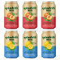 Spindrift Iced Tea Variety 6-Pack, 355 mL each Front