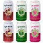 Spindrift Holiday Sparkling Water Variety 6-Pack Canada Front