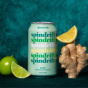 Spindrift Soda - Spindrift Drink - Spindrift Canada - Ginger Ale Soda - Ginger Soda - Real Ginger Ale