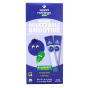 Sweet Nothings Organic Kids Smoothie Blueberry With Kale, 6 Pack
