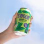 Swoon Zero Sugar Iced Tea Variety 8-Pack, 355 mL each