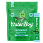 Front of Waterboy Electrolytes - Waterboy Hydration - Sugar Free Electrolytes - Workout Electrolytes - Sport Electrolytes - Hydration Powder - Blue Raspberry Electrolytes
