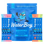 Front of Waterboy Electrolytes - Waterboy Hydration - Sugar Free Electrolytes - Hangover Electrolytes - Electrolytes Sample Pack