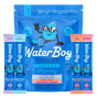 Front of Waterboy Electrolytes - Waterboy Hydration - Sugar Free Electrolytes - Hangover Electrolytes - Electrolytes Sample Pack
