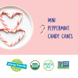 YumEarth Organic Mini Candy Canes - Allergen Free Candy - Gluten Free Christmas Candy - Vegan Christmas Candy