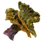 Brad’s Plant Based Organic Salad Snack Ranch Lifestyle