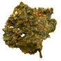 Brad’s Plant Based Organic Crunchy Kale Nacho Lifestyle