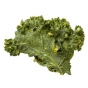 Brad’s Plant Based Organic Crunchy Kale Original with Probiotics Lifestyle
