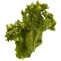 Brad’s Plant Based Organic Crunchy Kale Cheeze It Up Lifestyle