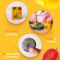 Bob Snail Natural Dried Fruit Snack Healthy Fruit Roll Ups Mango Fruit Leather