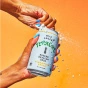 De La Calle! Tepache Modern Mexican Soda Pineapple Spice Canada Lifestyle 2