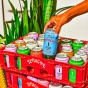De La Calle! Tepache Modern Mexican Soda Tropical Ponche Canada Lifestyle 3