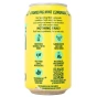Fresh Fizz Organic Soda Sparkling Mint Lemonade Side